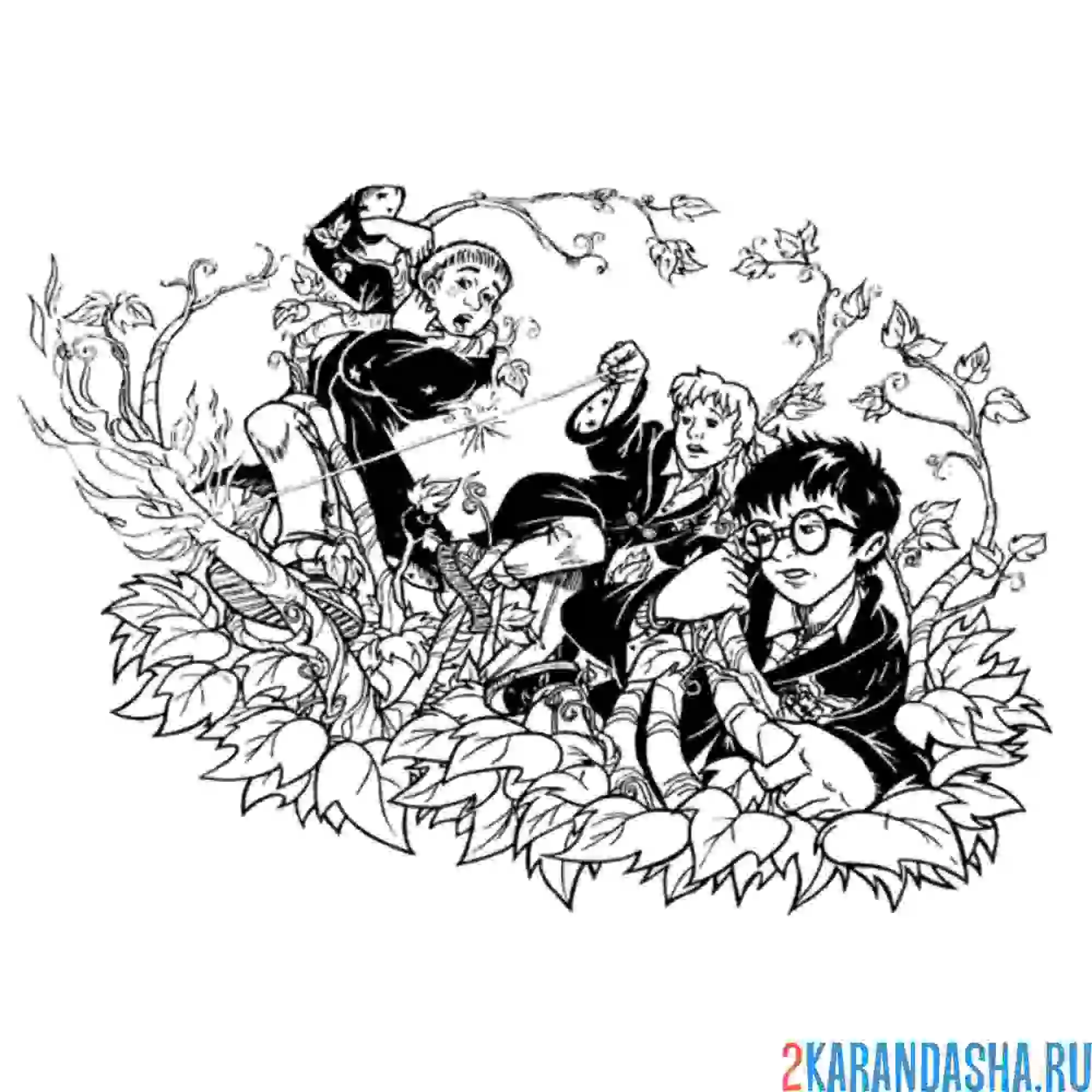 Раскраска гарри поттер, гермиона и рон