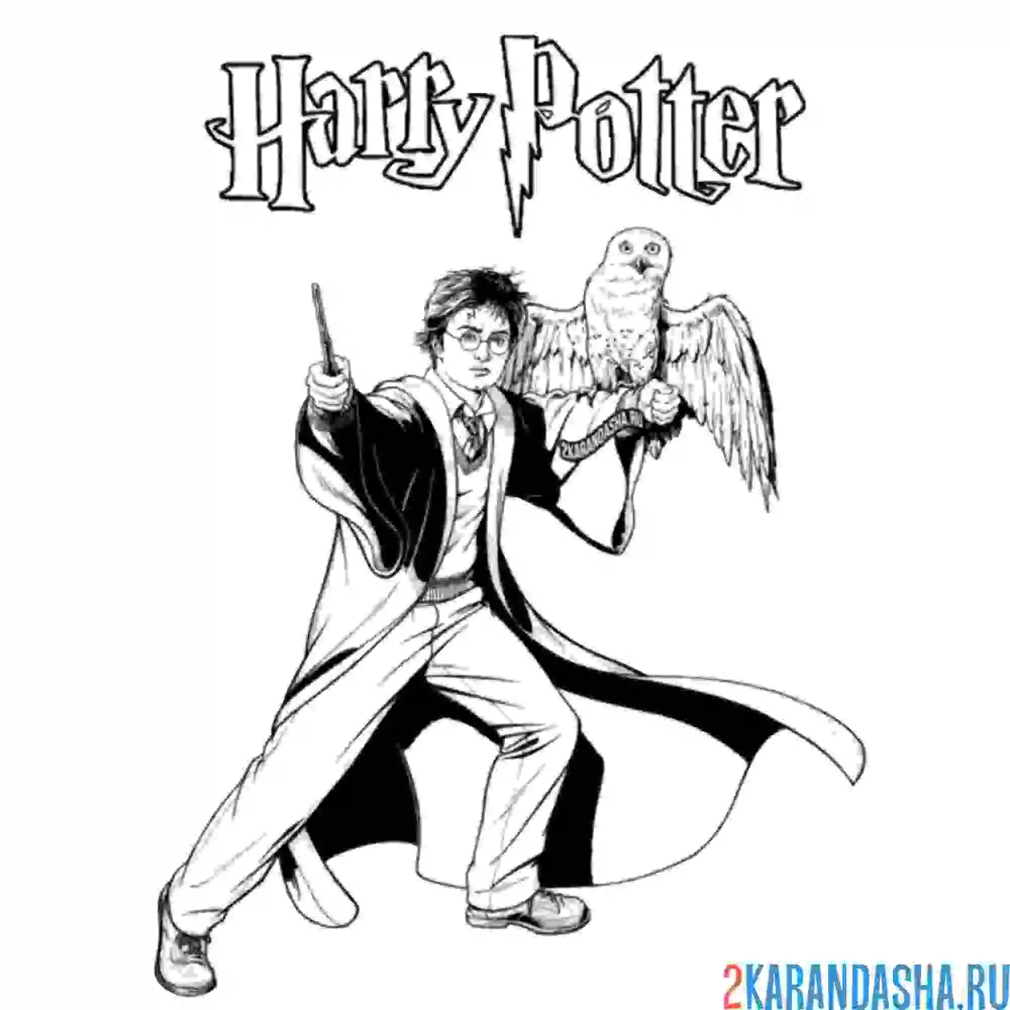 Раскраска гарри поттер и сова хедвиг