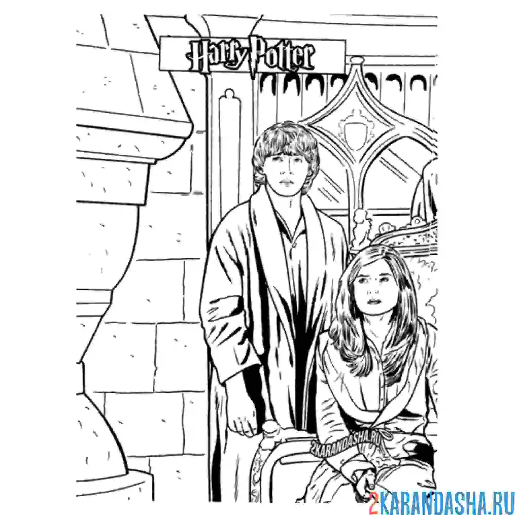 Раскраска гермиона и рон
