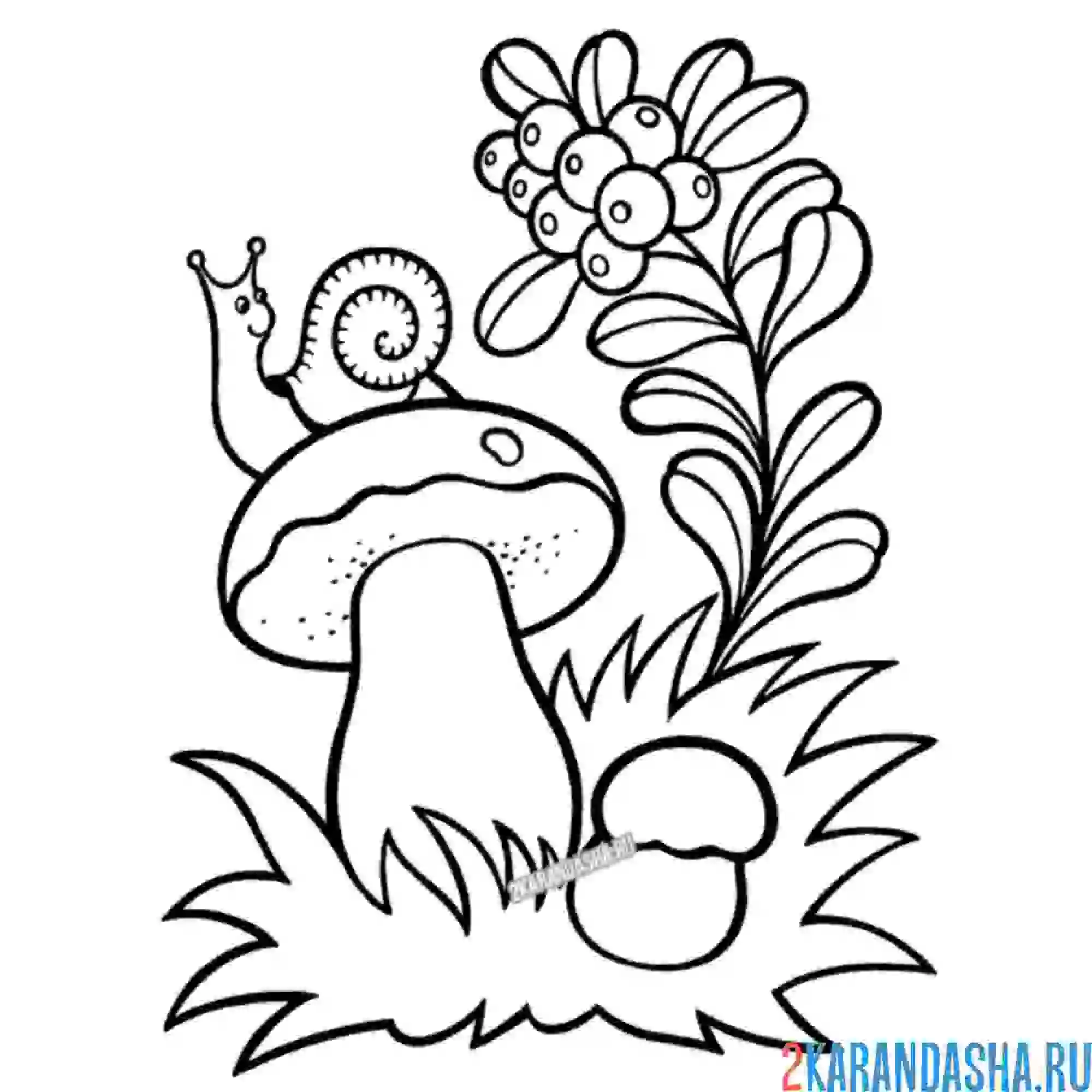 Раскраска гриб в лесу