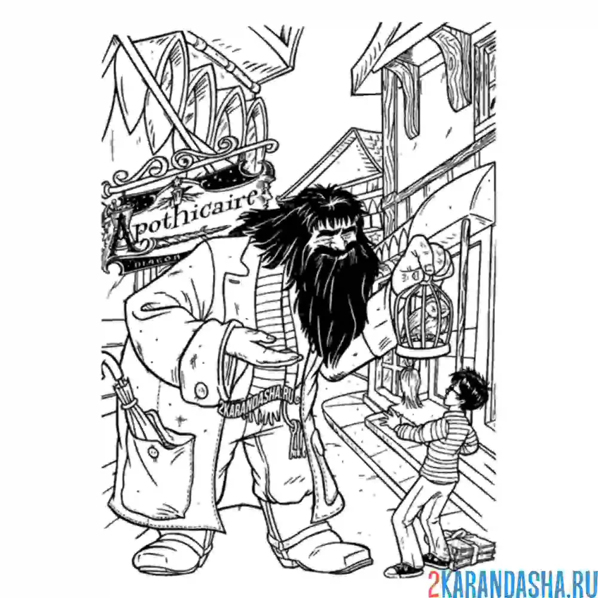 Раскраска хагрид и гарри поттер