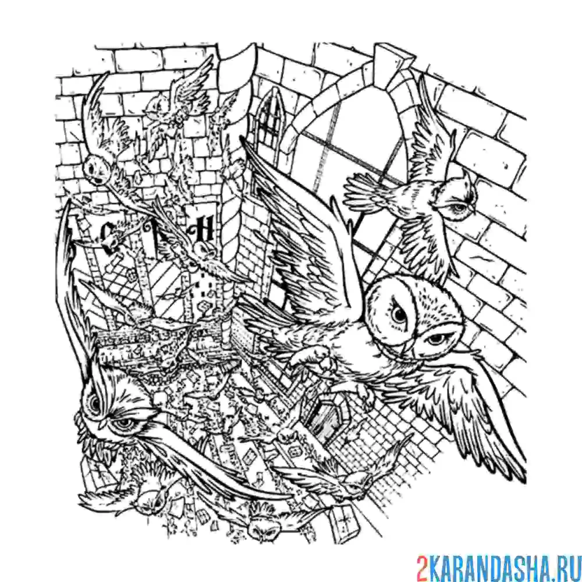 Раскраска хедвиг гарри поттер