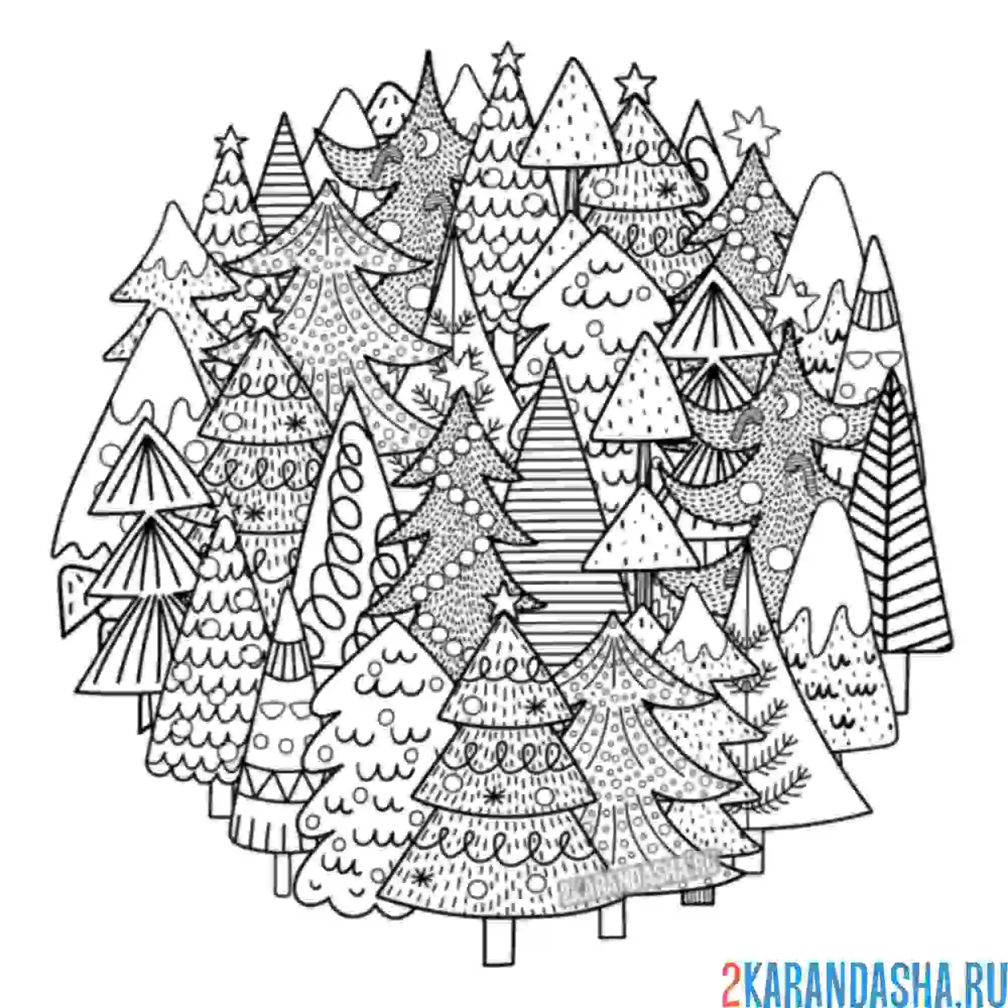 Раскраска хвойный лес