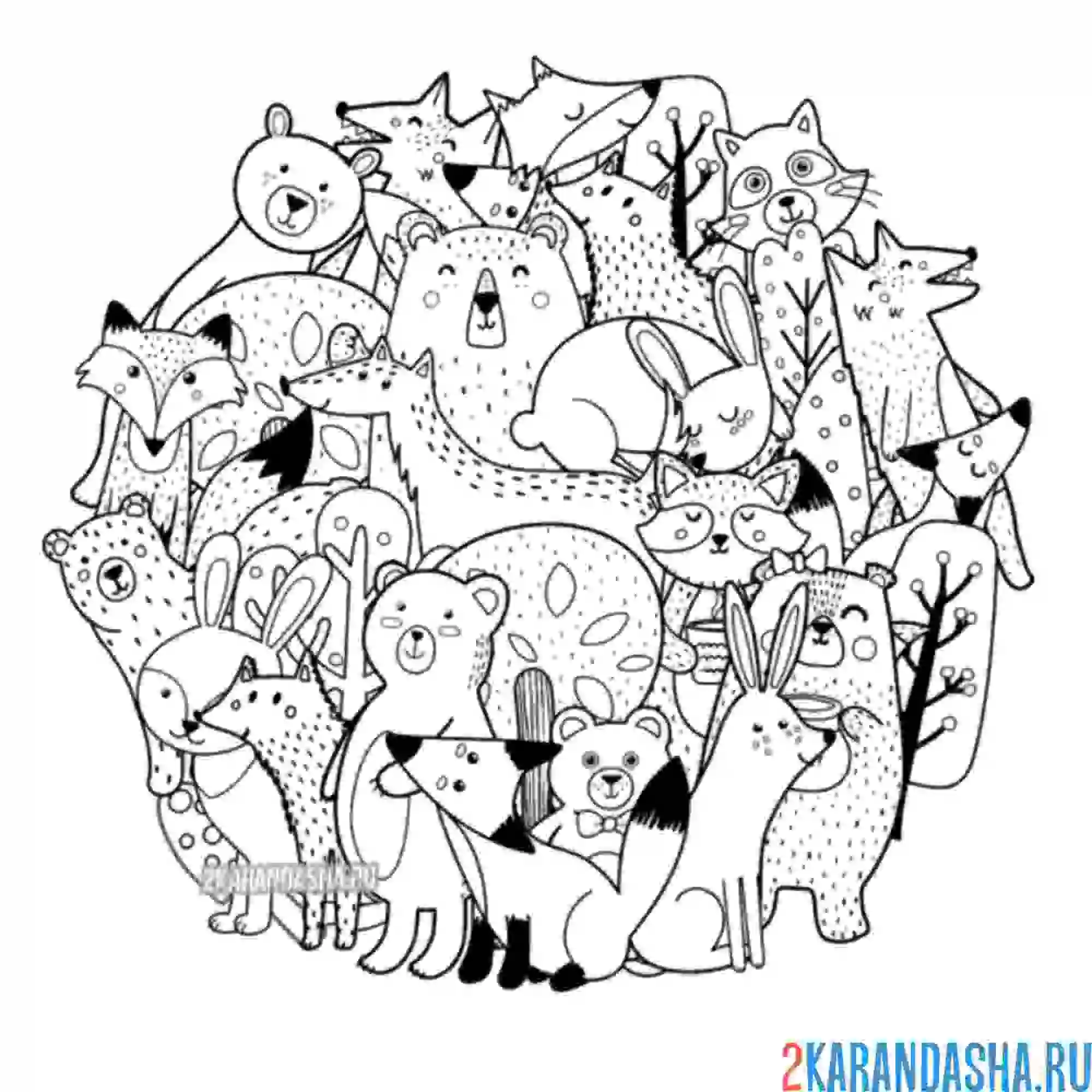 Раскраска животные леса