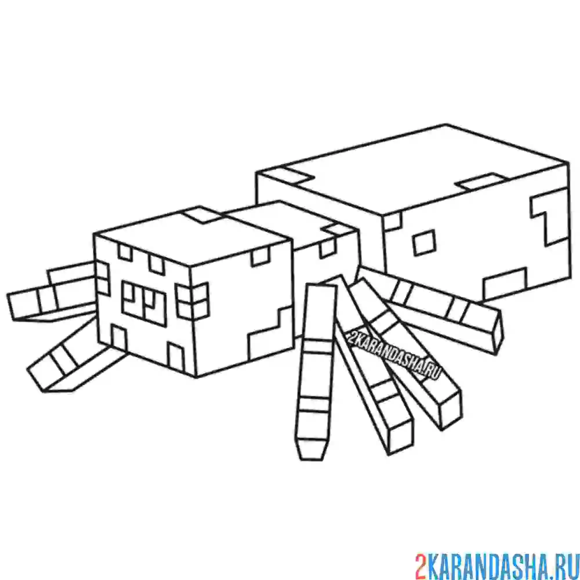 Раскраска животные, скин паука