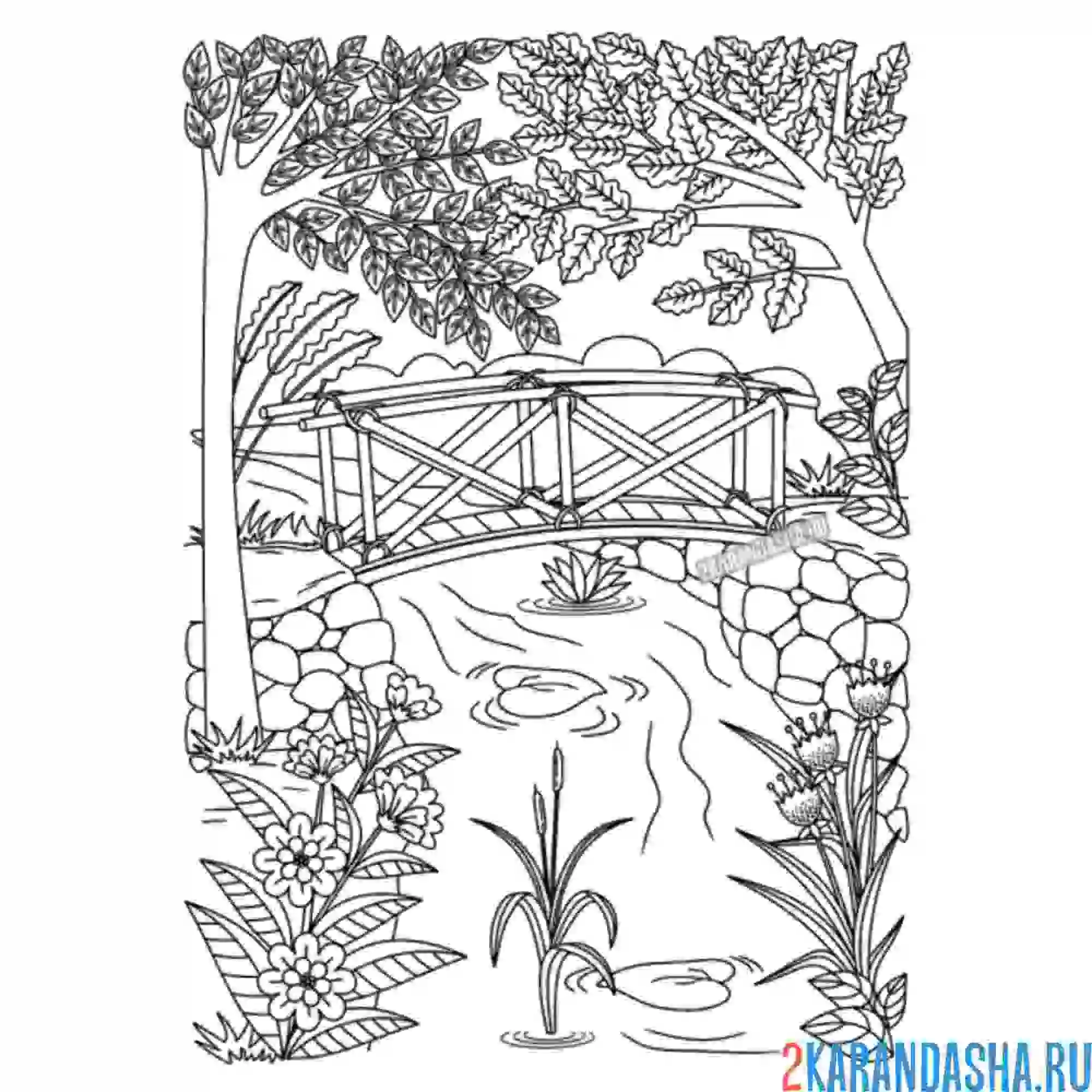 Раскраска красивый мост в лесу