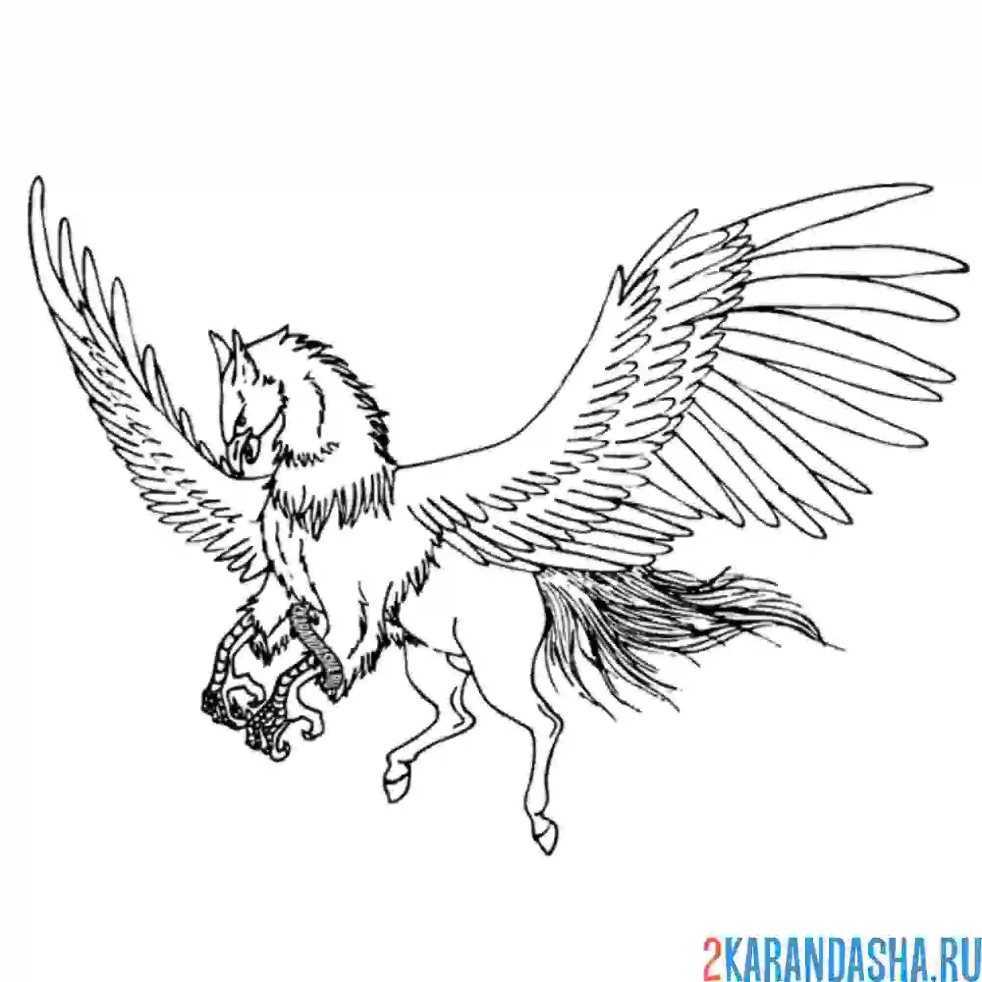 Раскраска крылатый конь гарри поттер
