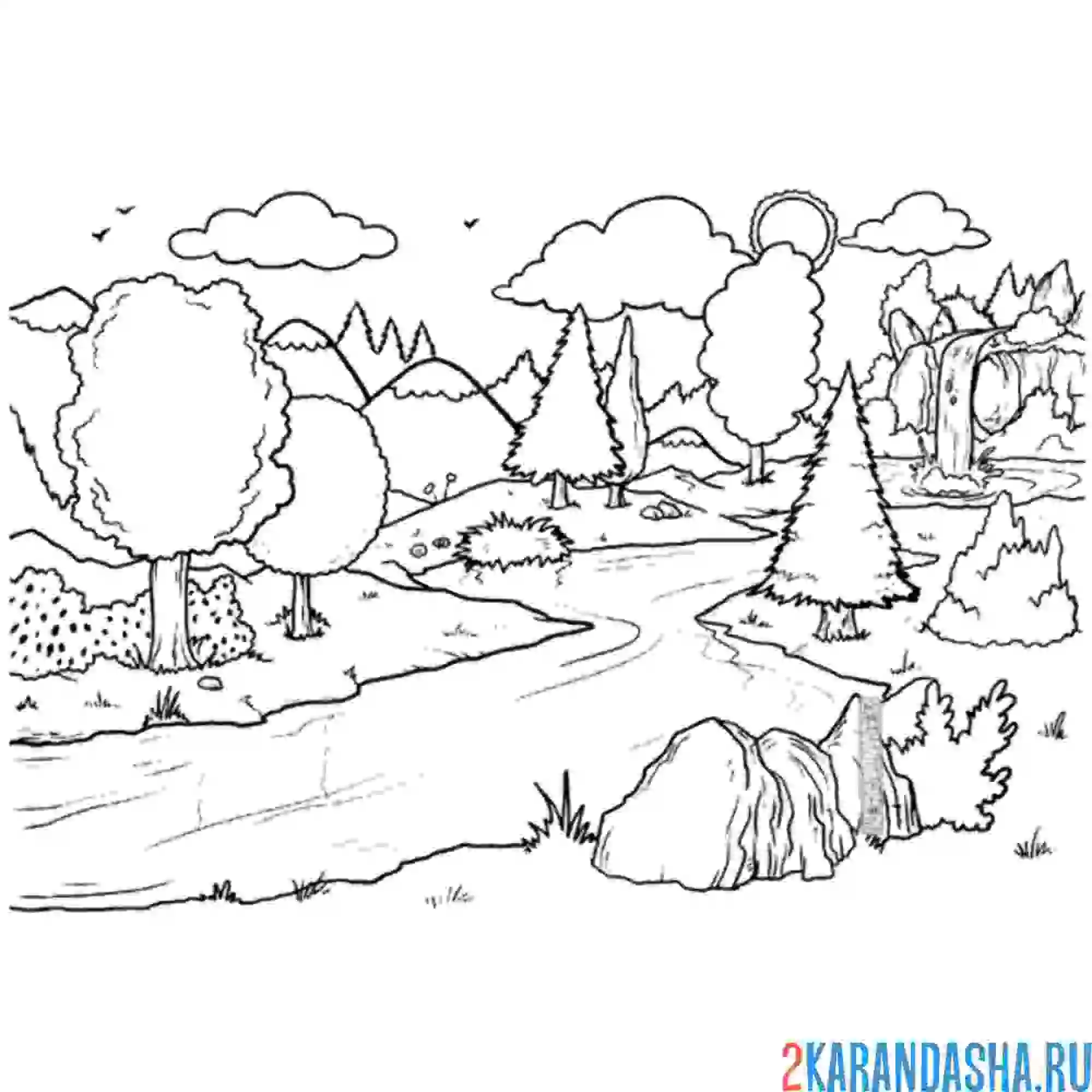 Раскраска лес и река