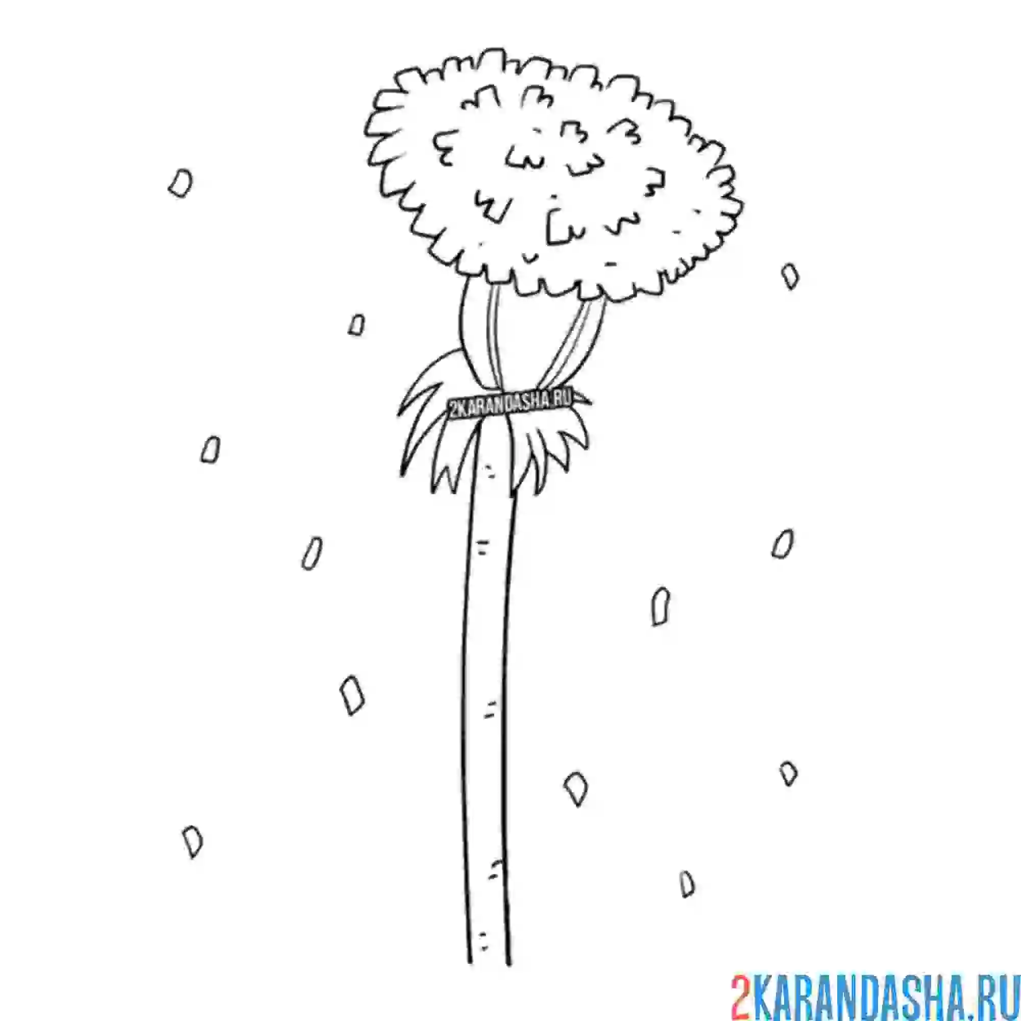 Раскраска летний одуванчик