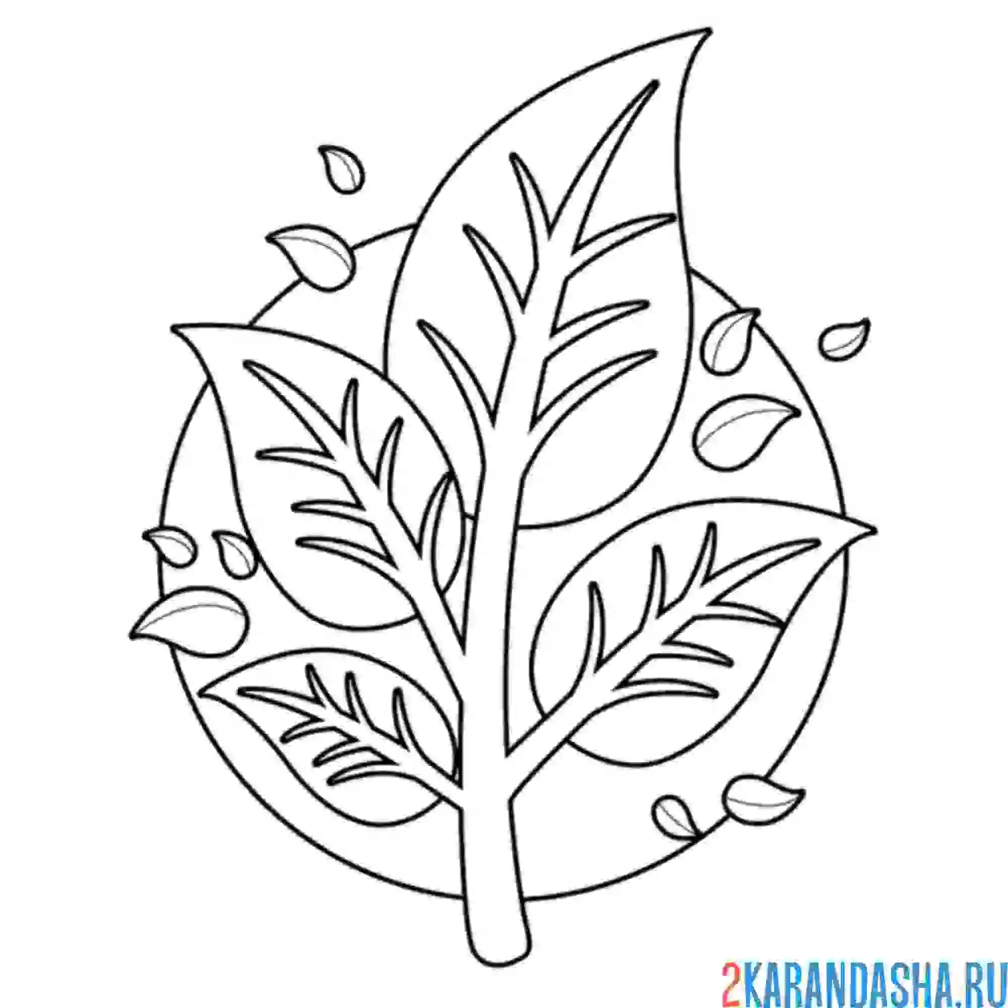 Раскраска листочек