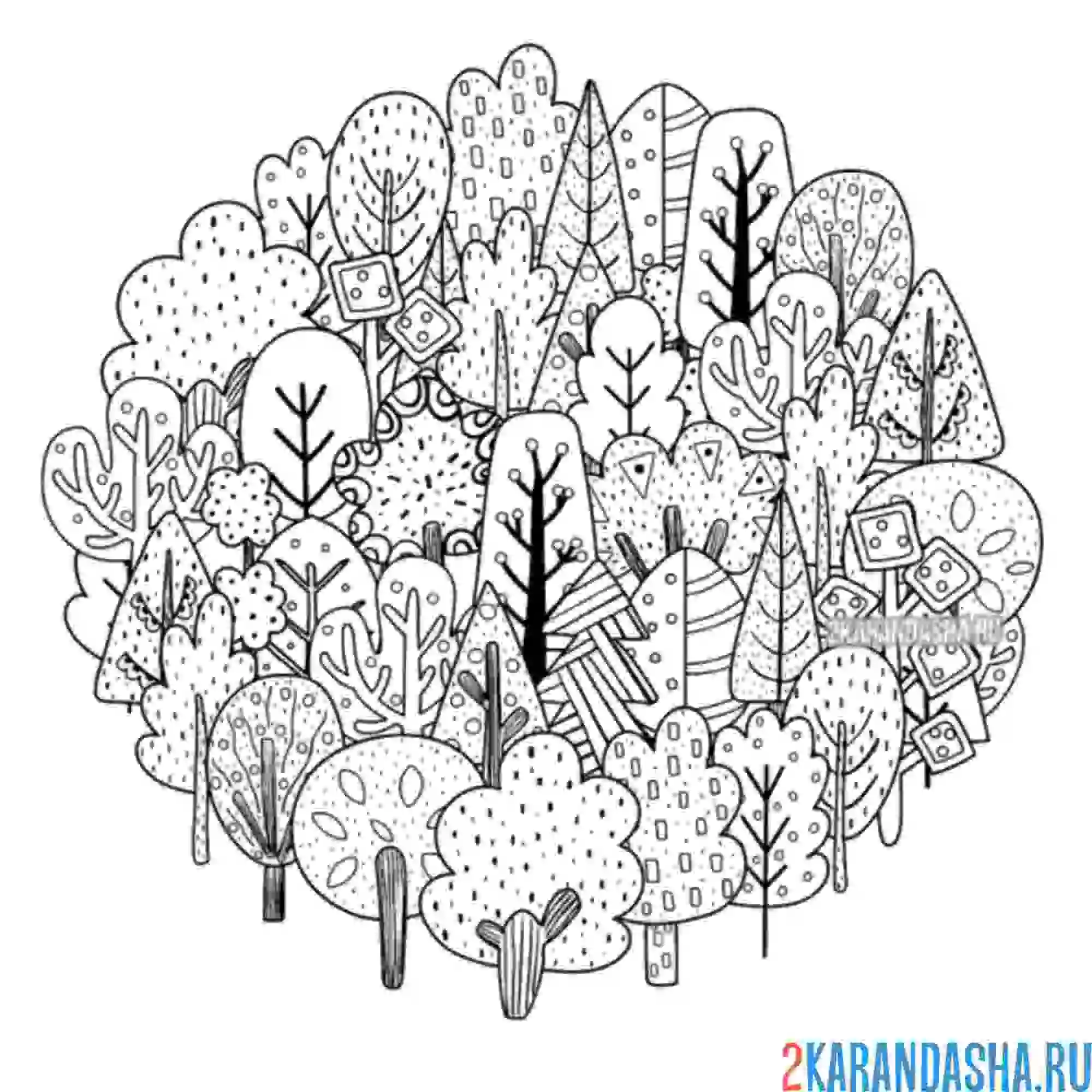 Раскраска лиственный лес