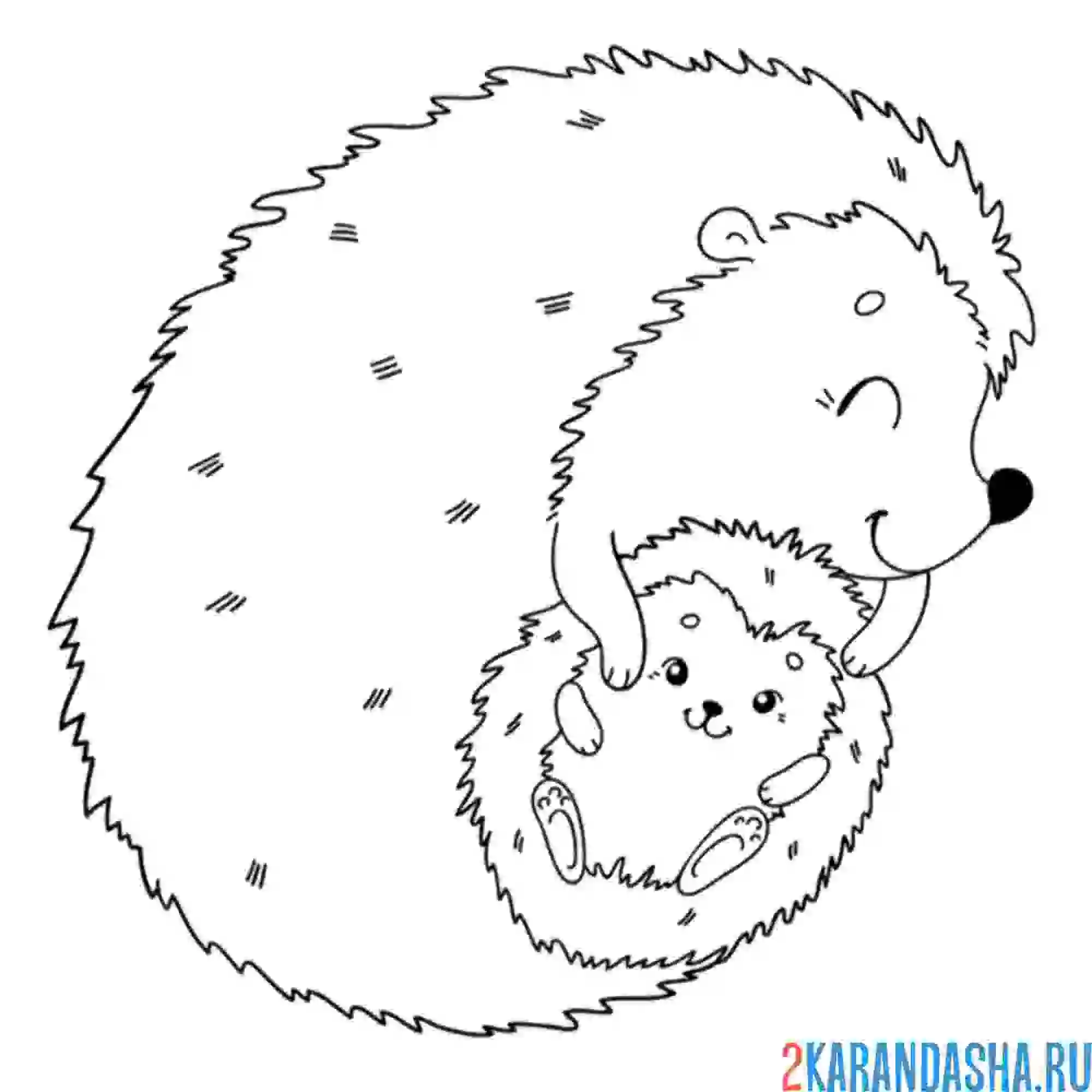 Раскраска мама ежик и ее малыш