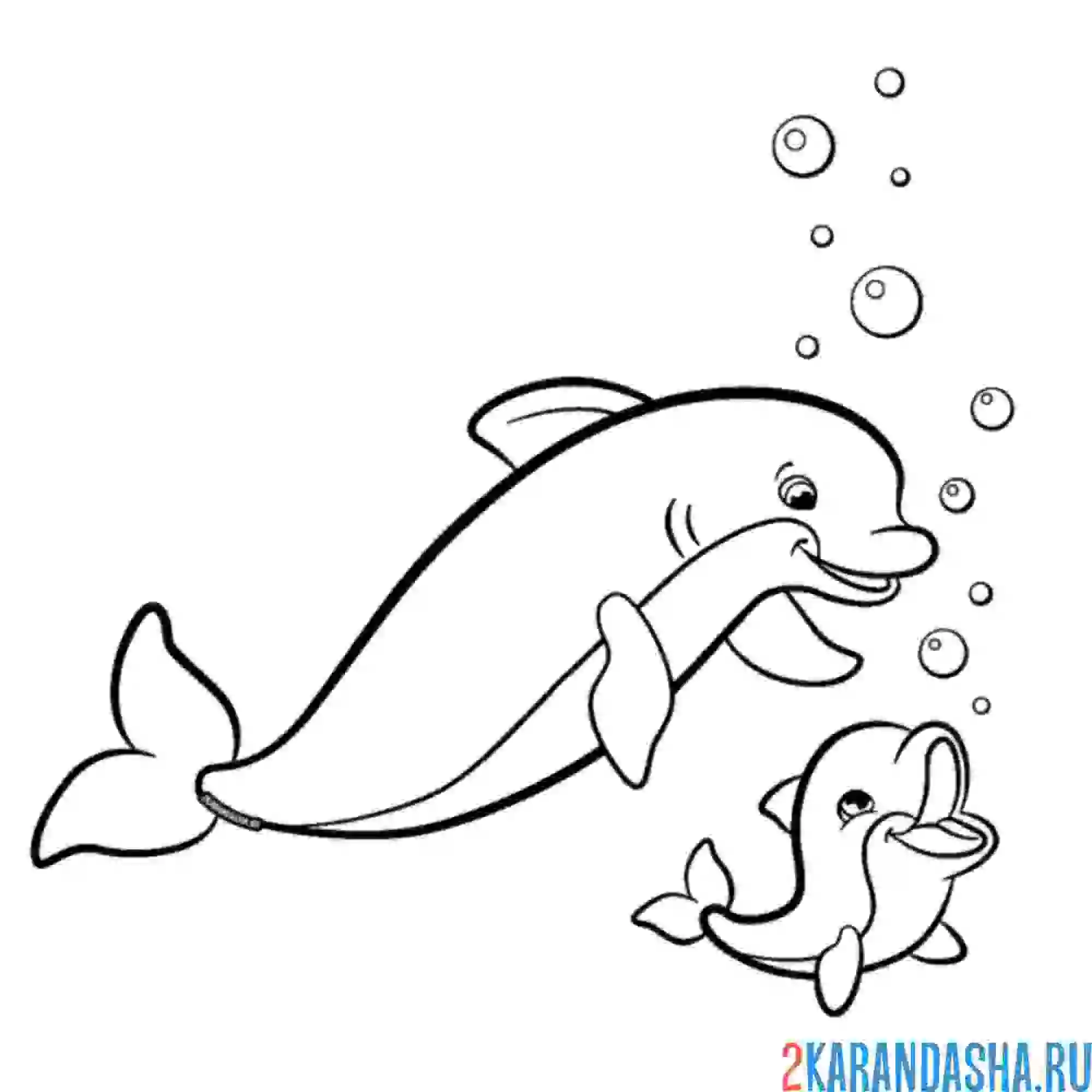 Раскраска дельфин мама и детеныш резвятся