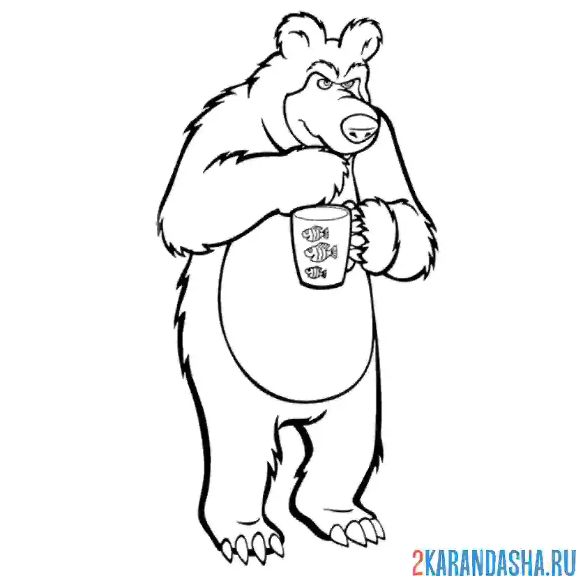 Раскраска медведь