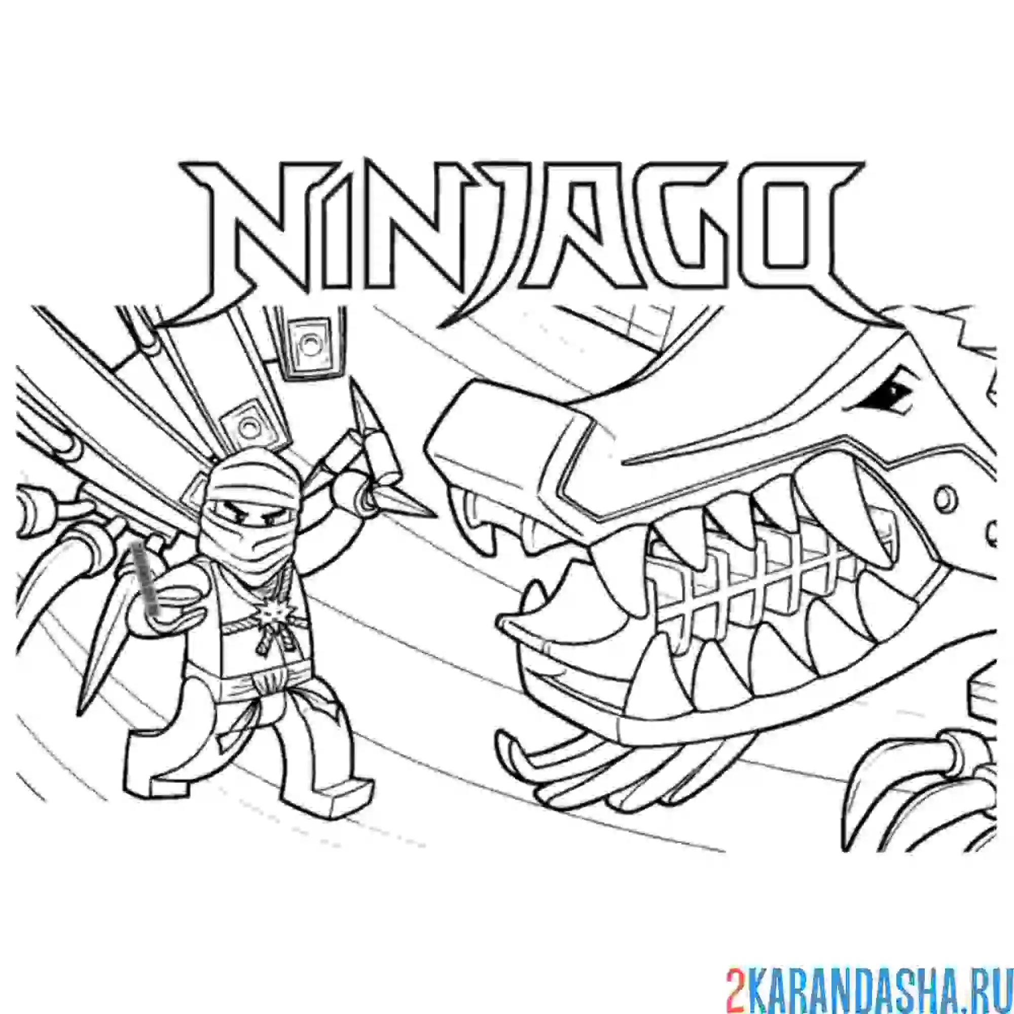 Раскраска мастера драконов