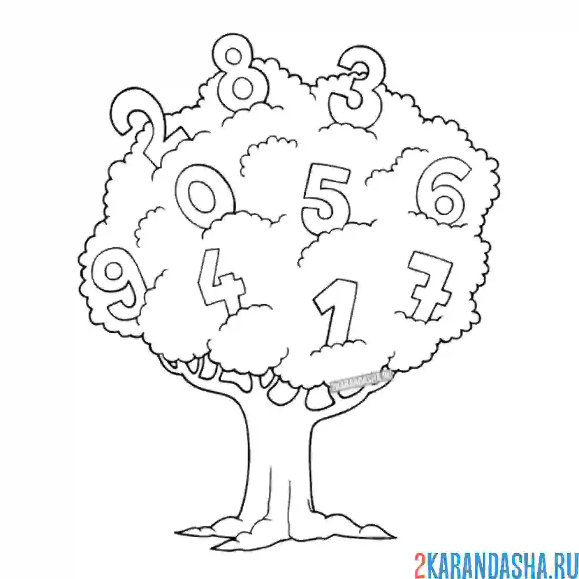 Раскраска математическое дерево