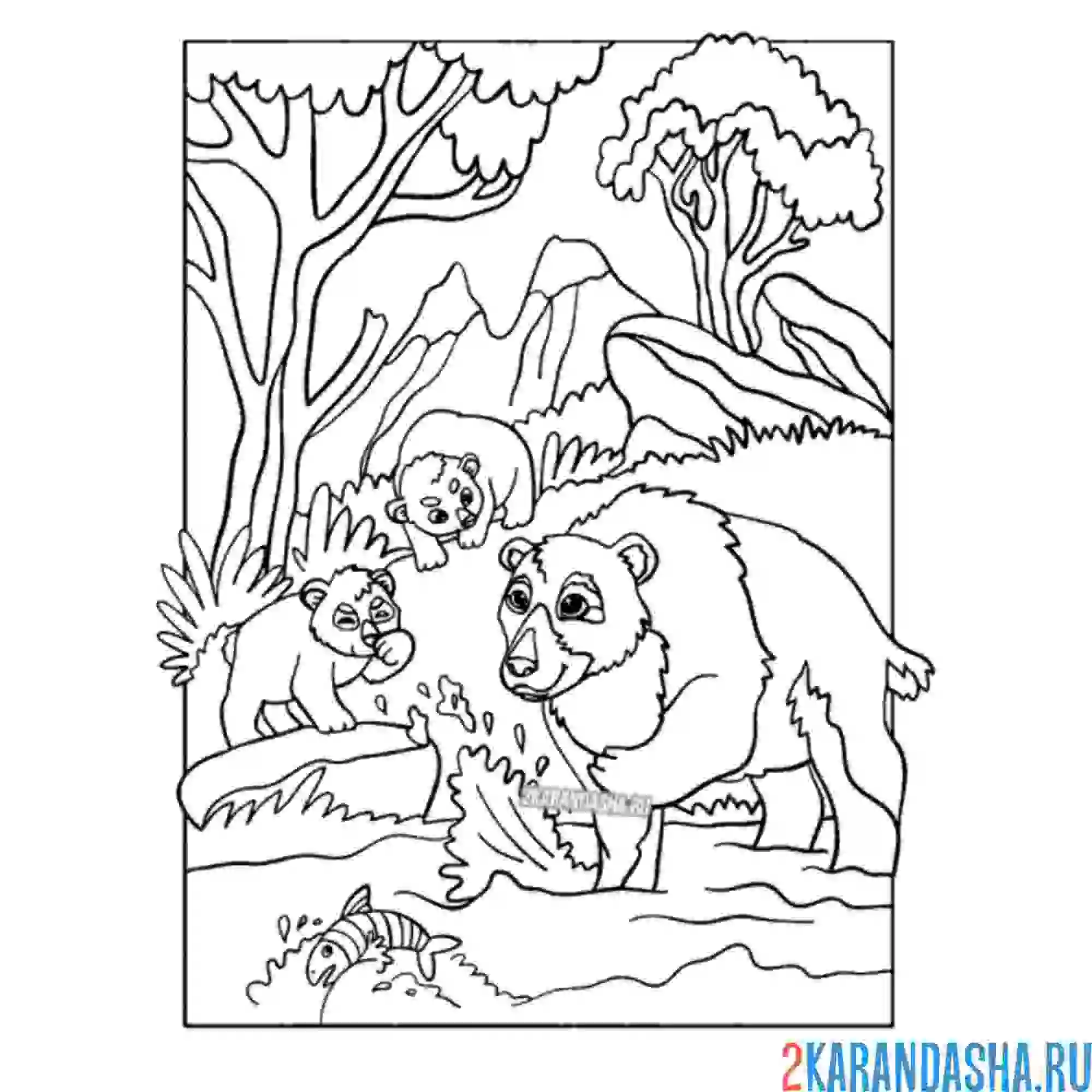 Раскраска медведи в лесу
