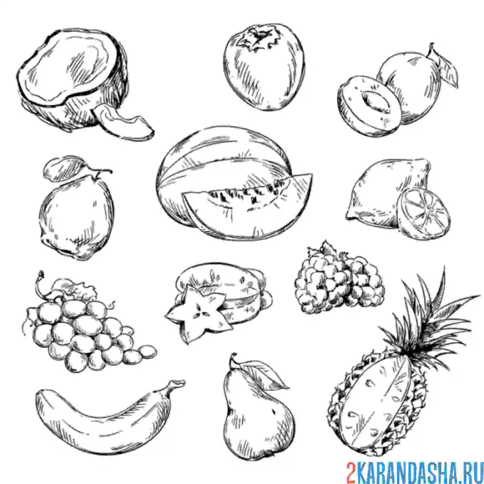 Раскраска много разных фруктов