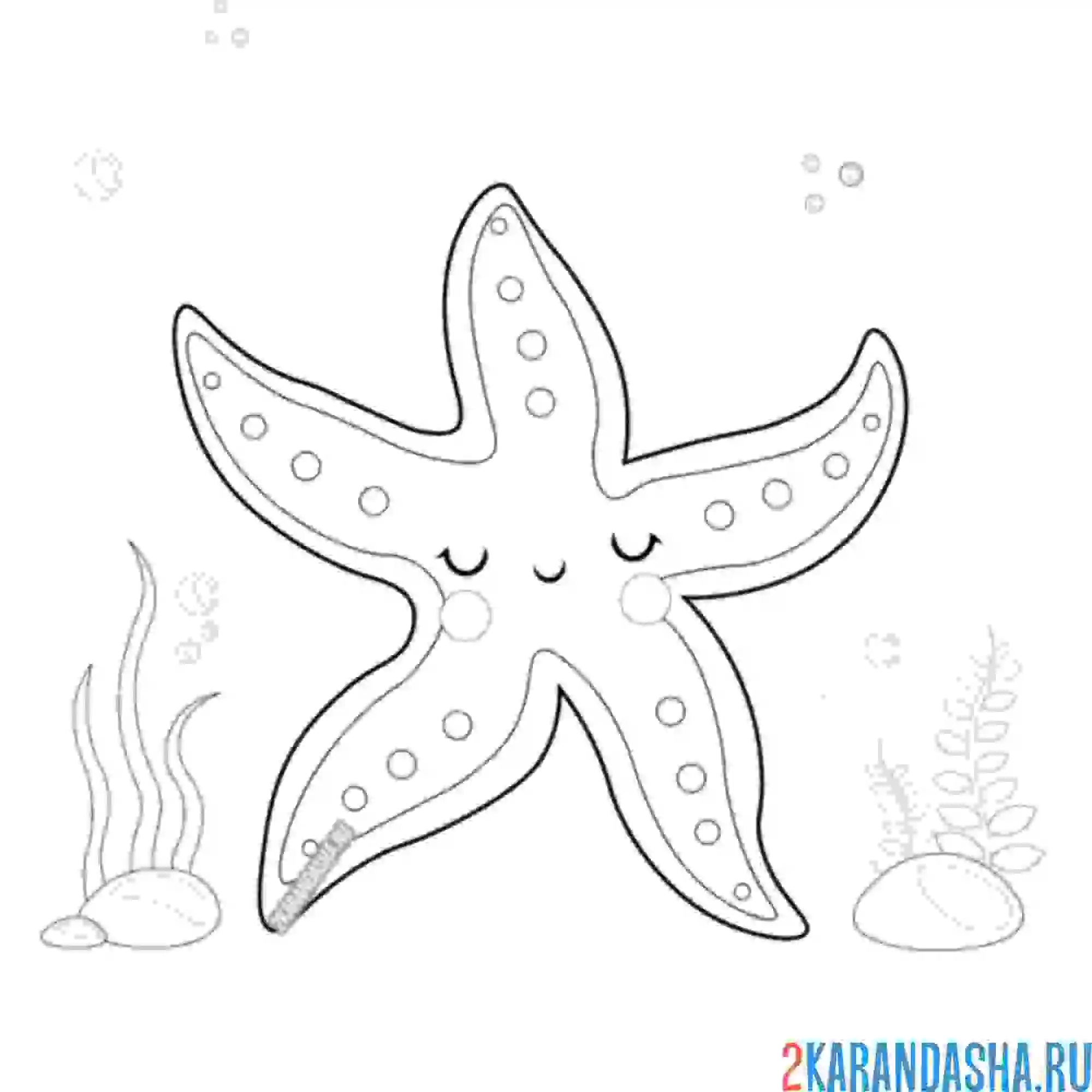 Раскраска морская звезда в океане