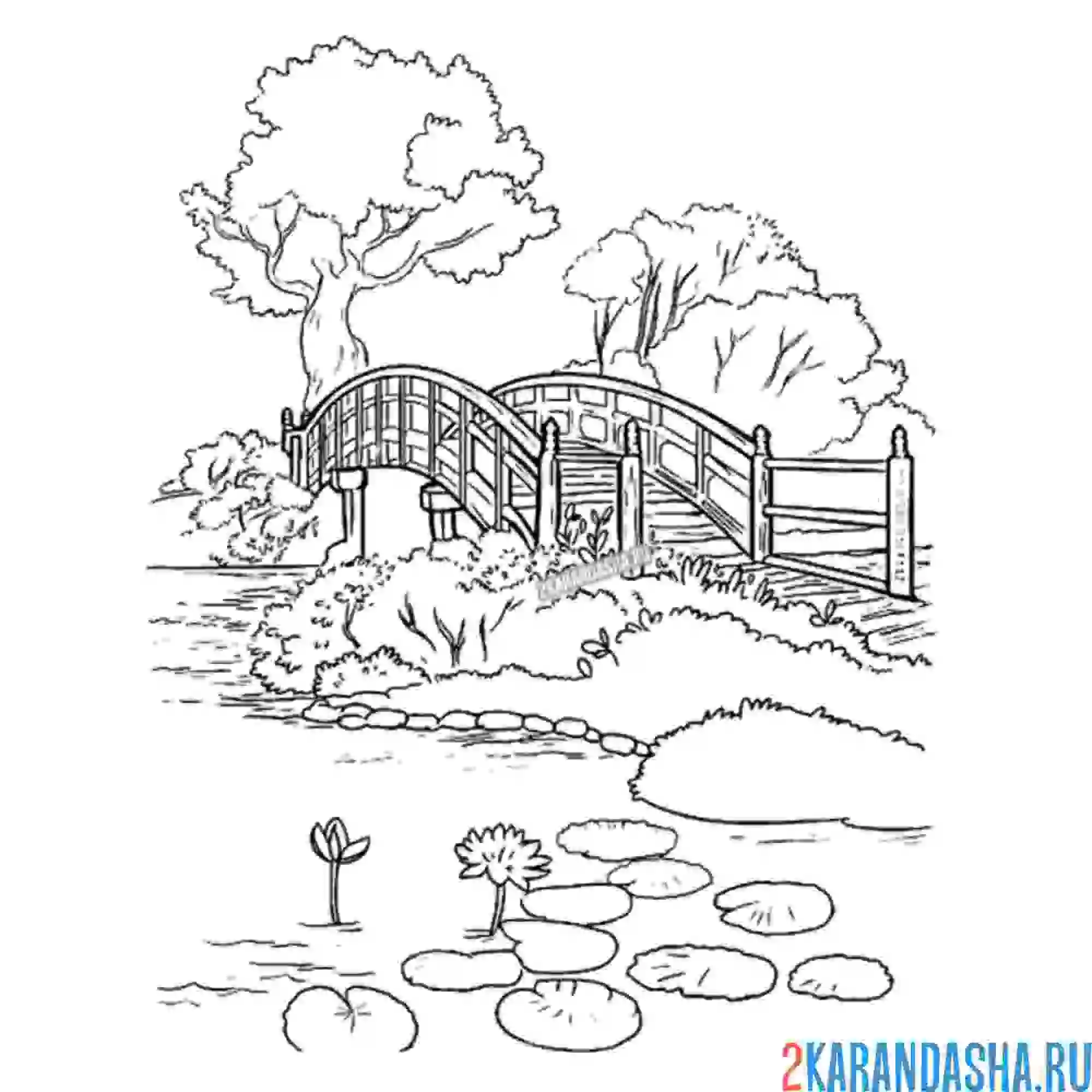 Раскраска мостик в лесу