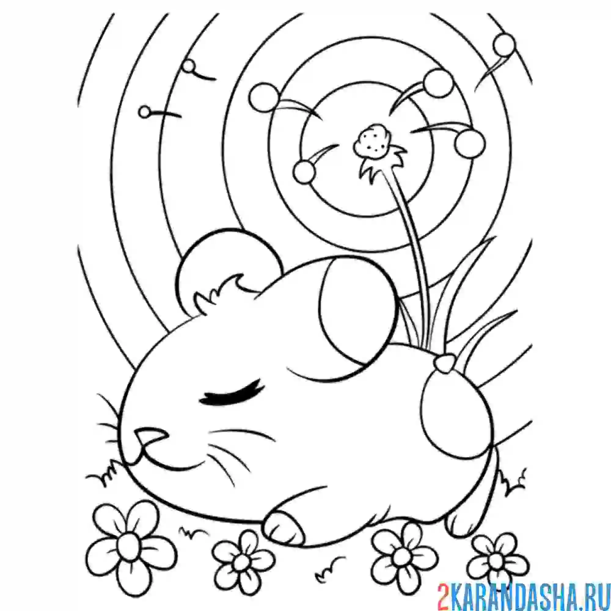 Раскраска мышка спит на одуванчике