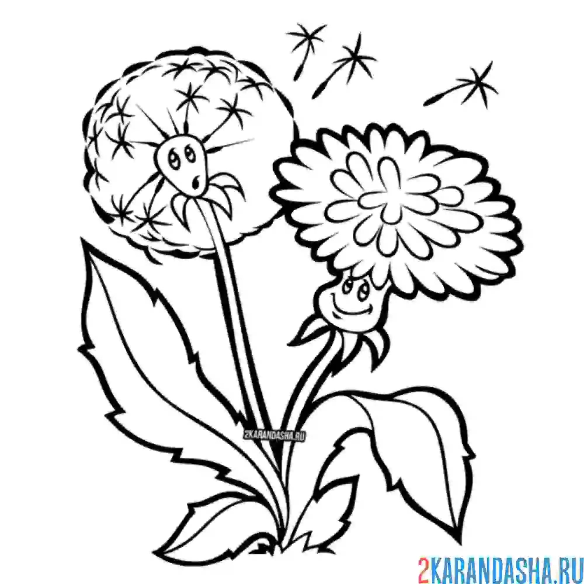 Раскраска напуганные одуванчики