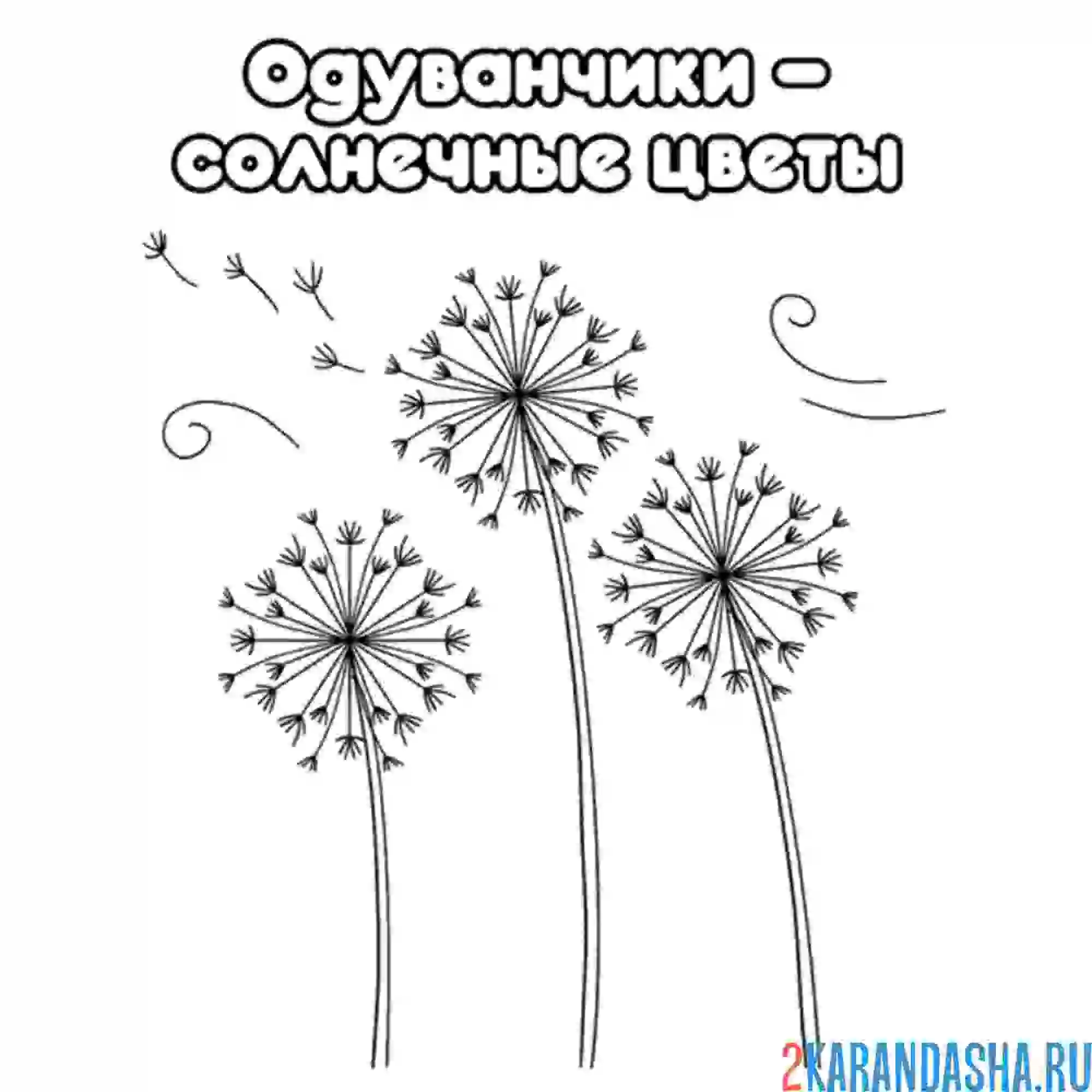 Раскраска одуванчики разлетелись