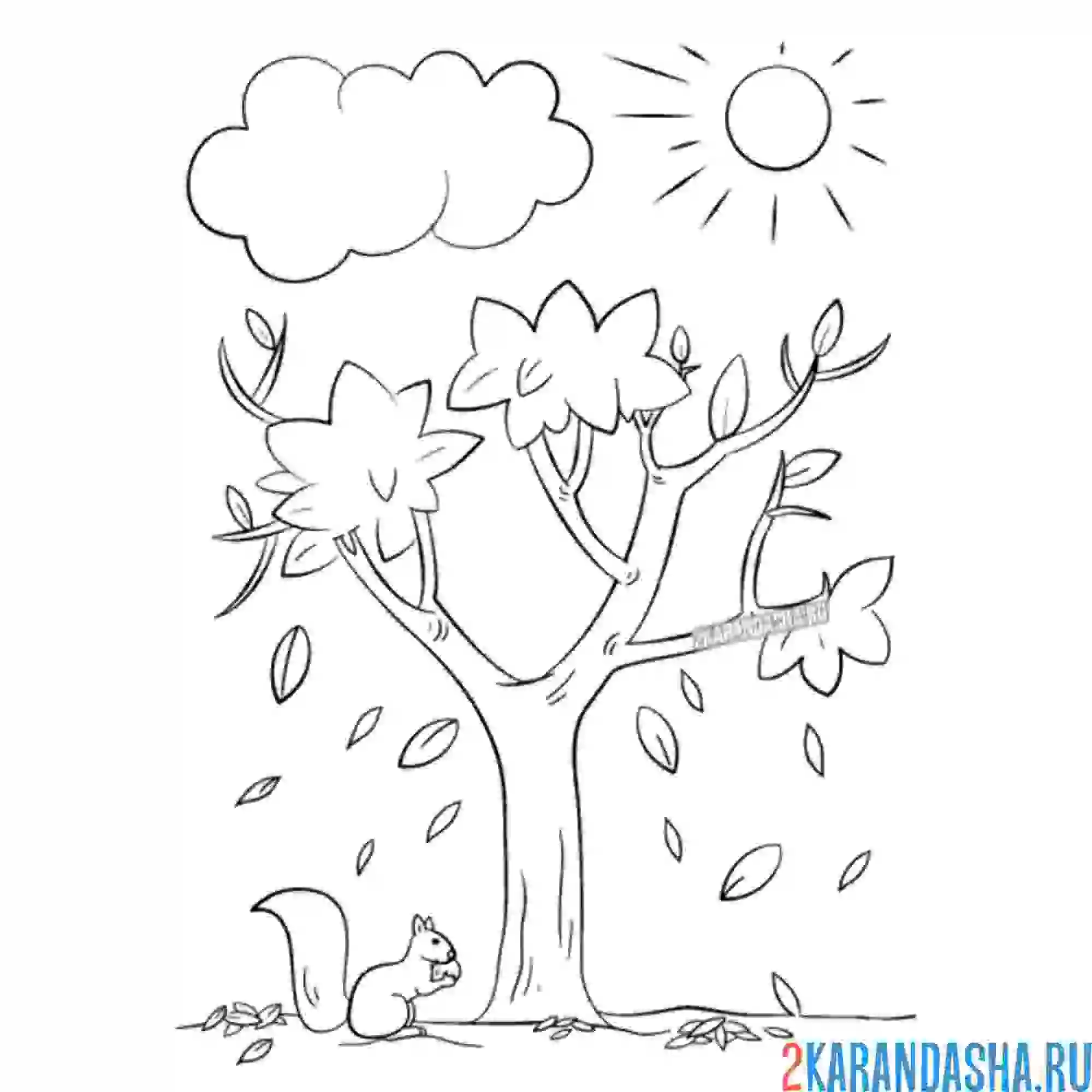 Раскраска осенний лес