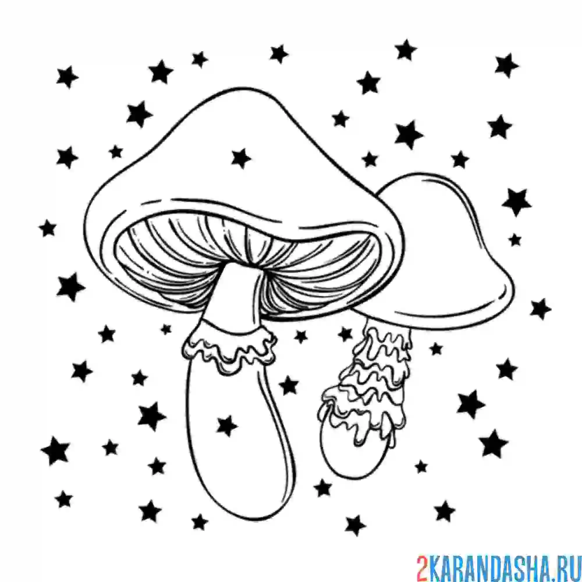 Раскраска поганки грибы