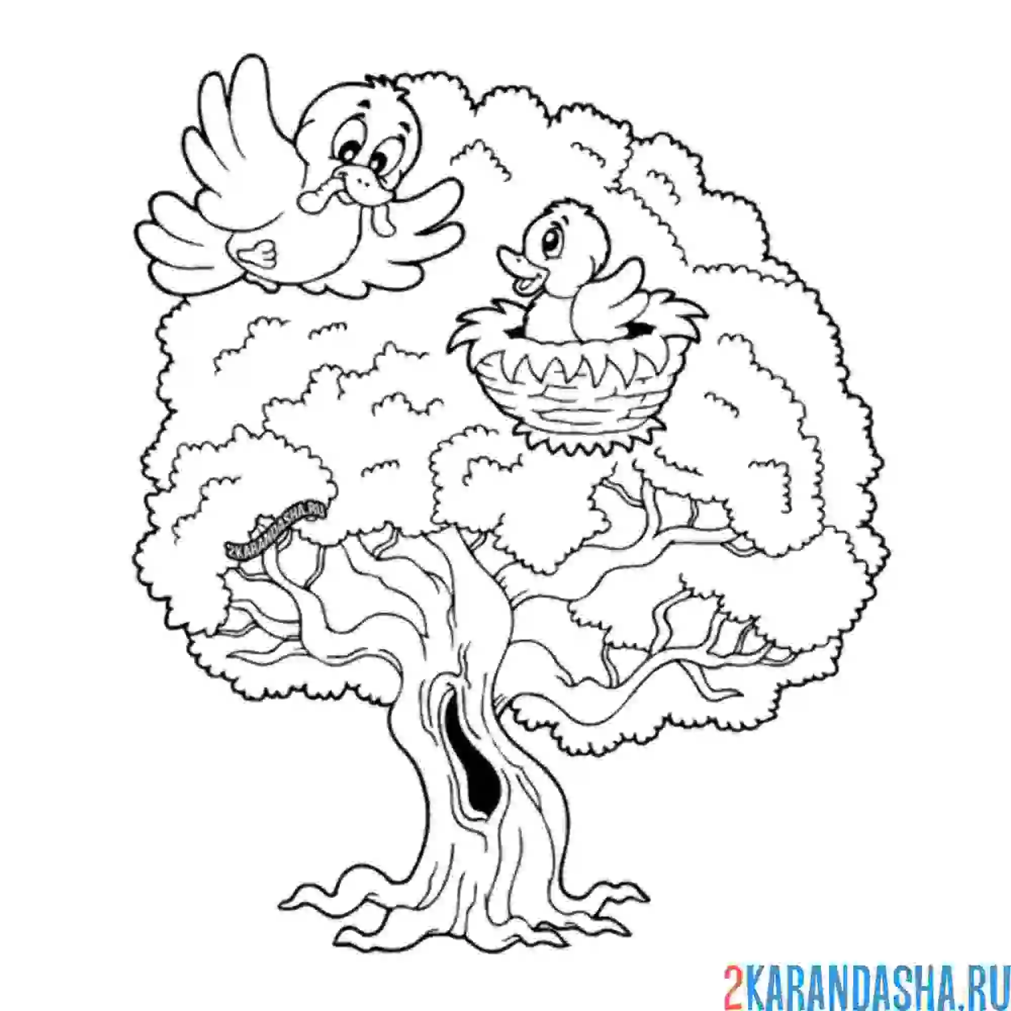 Раскраска птичка кормит птенца на дереве