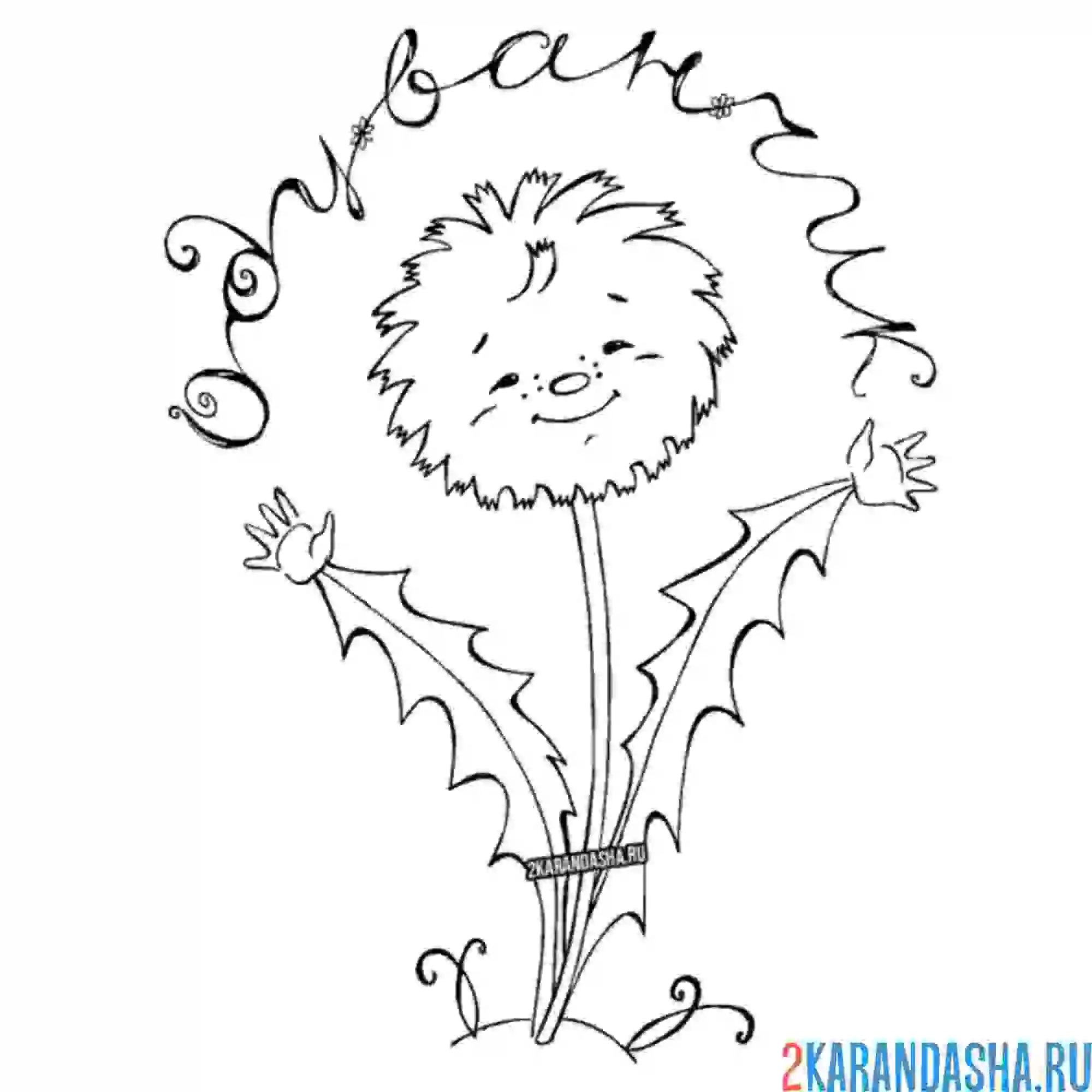 Раскраска солнечный одуванчик