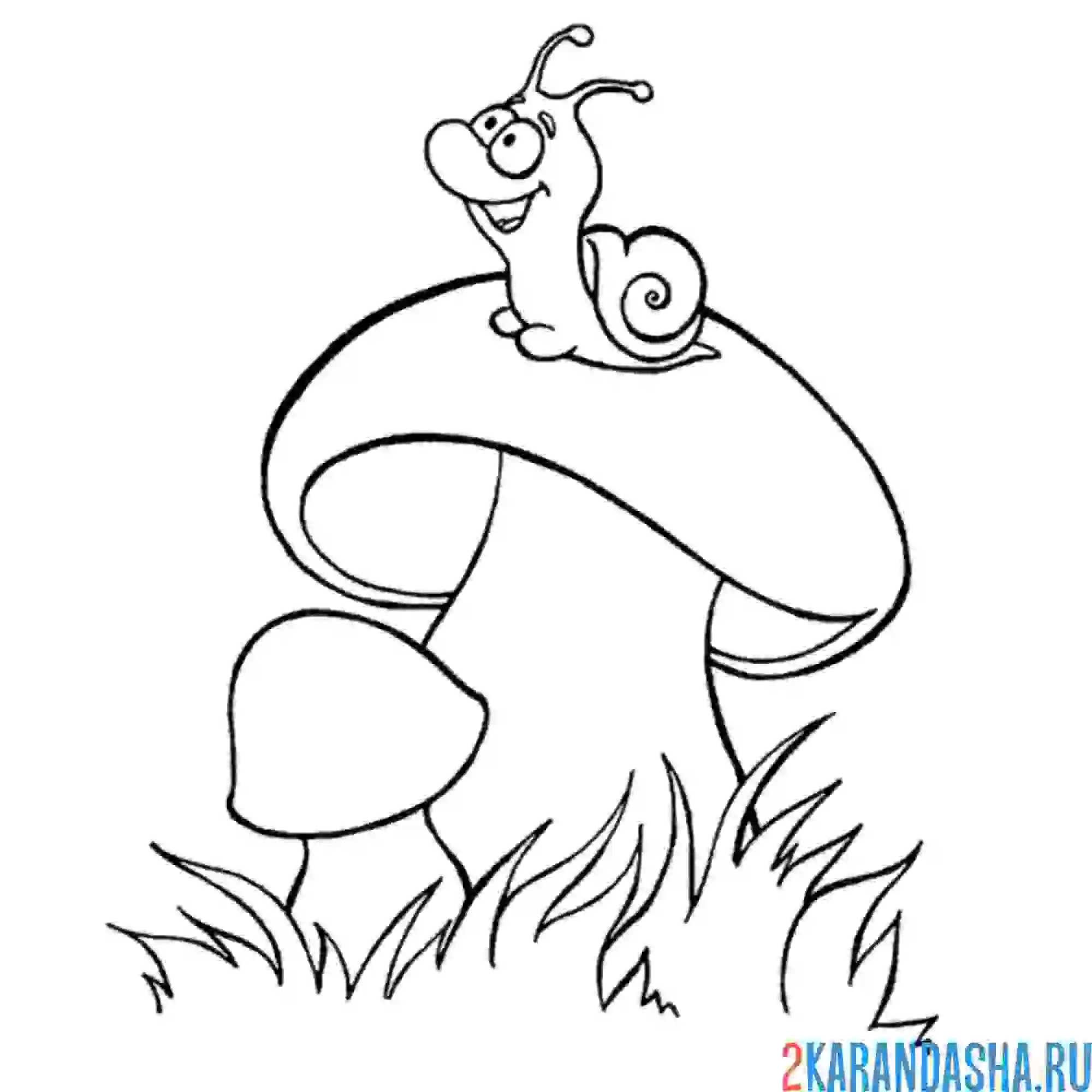 Раскраска улитка на грибочке