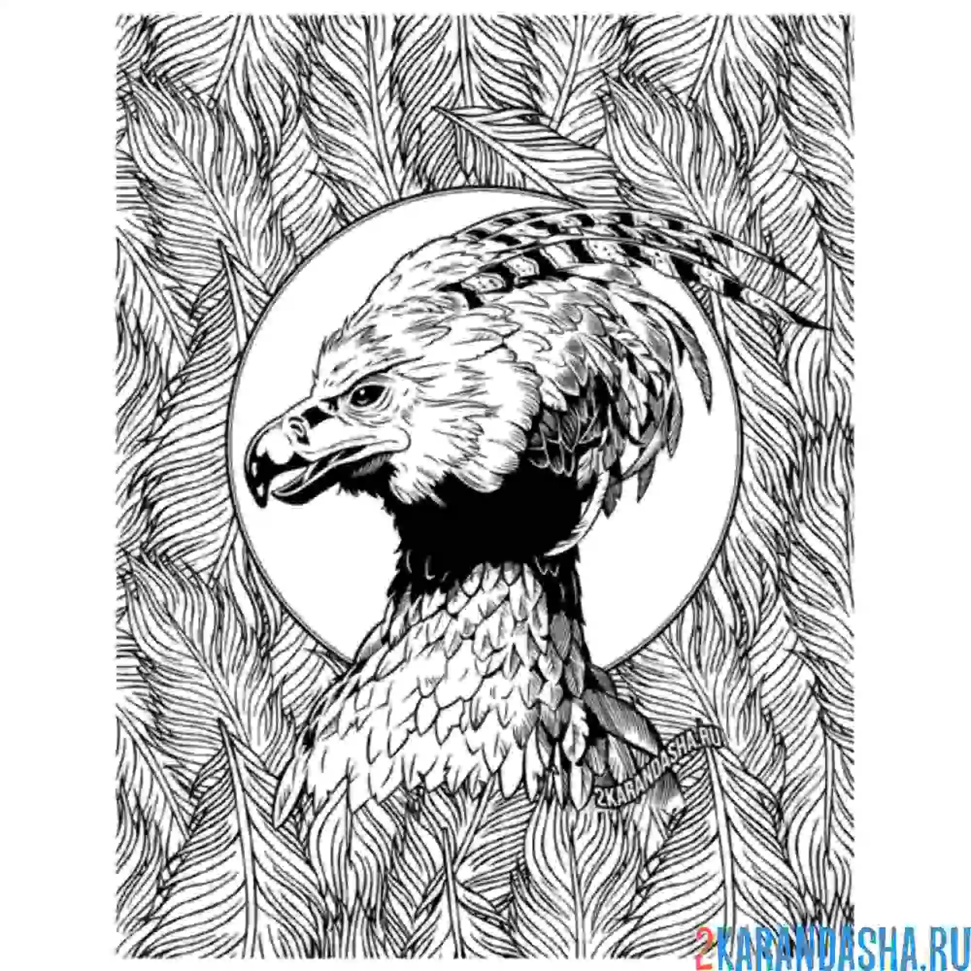 Раскраска волшебная птица феникс