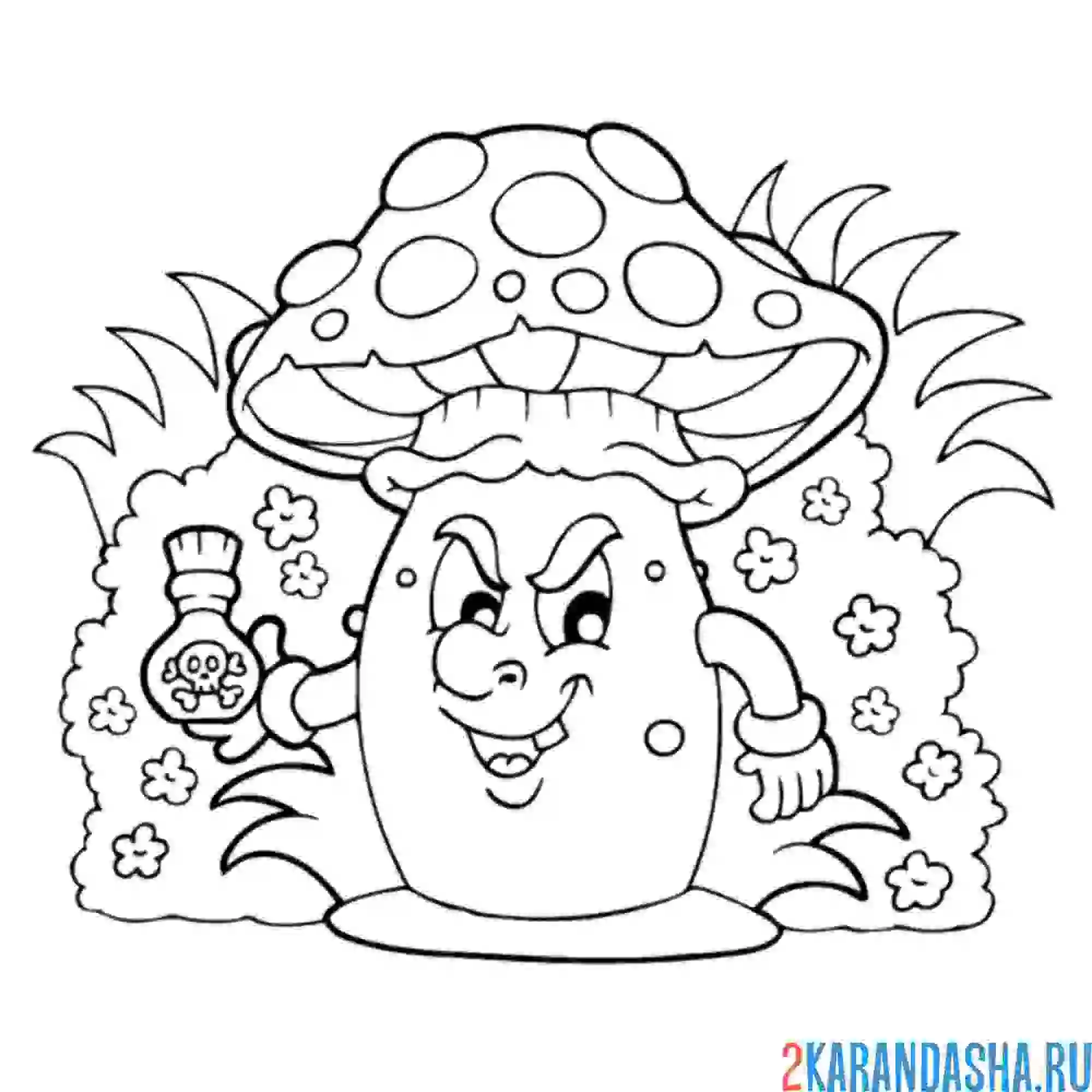 Раскраска ядовитый гриб мухомор