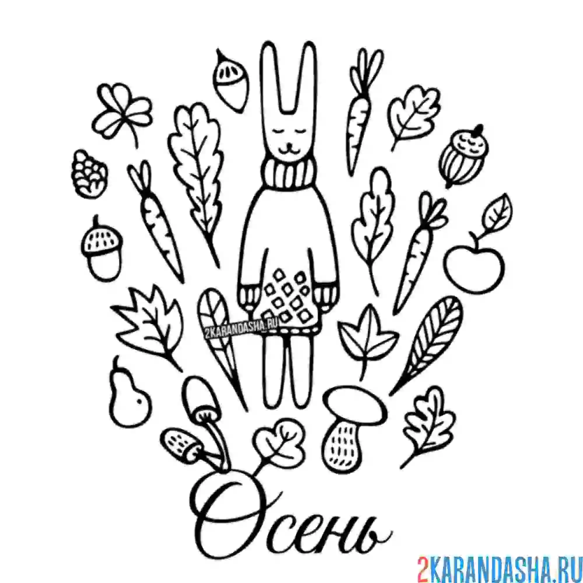 Раскраска заяц осенью