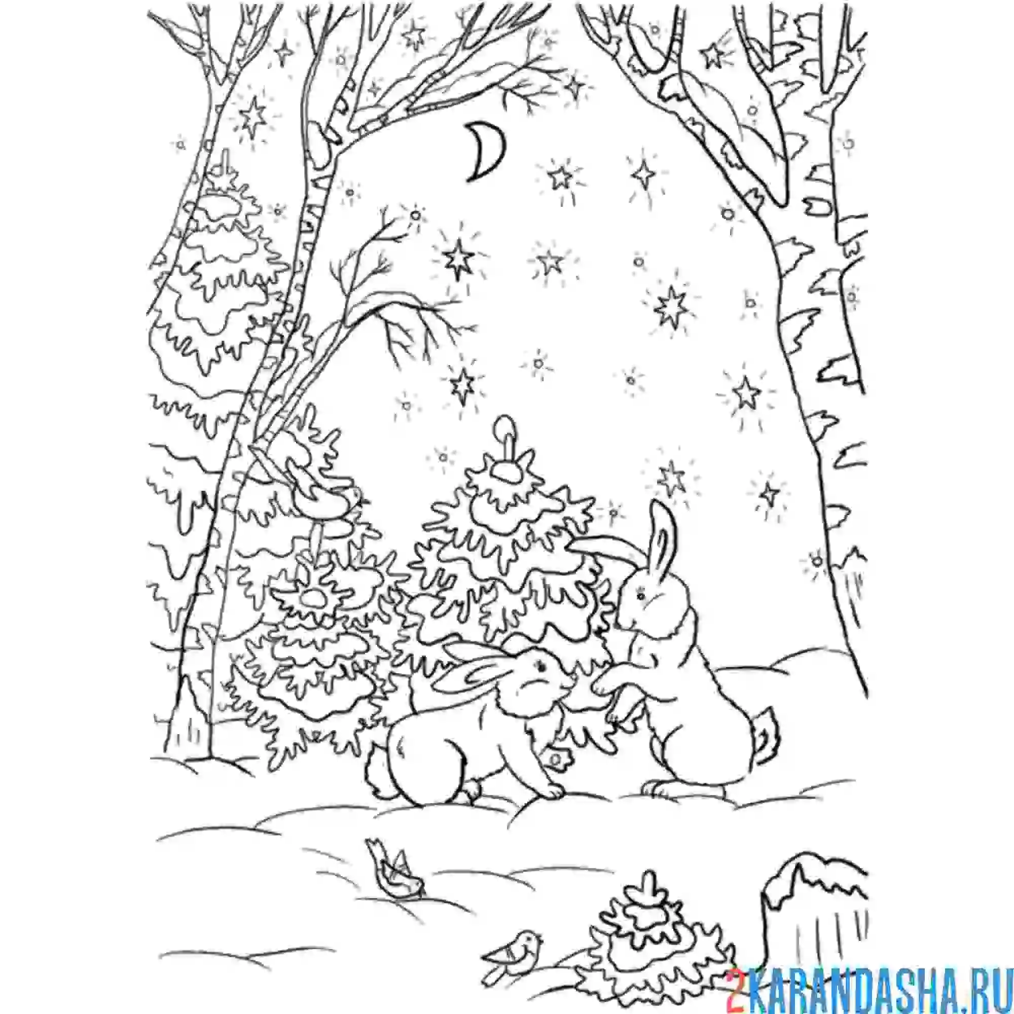 Раскраска зайцы в зимнем лесу