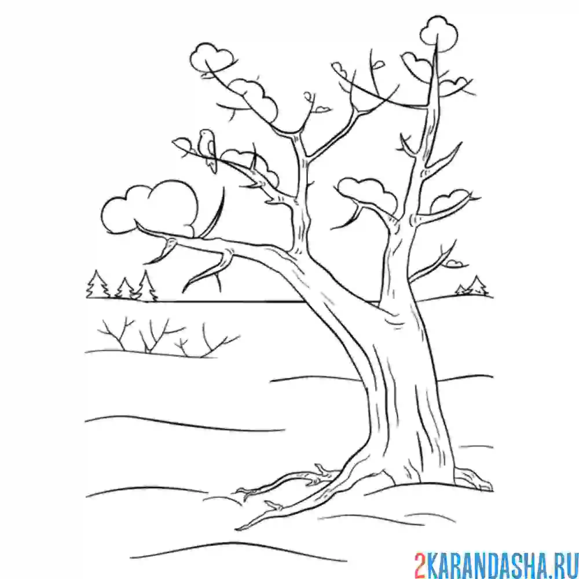 Раскраска зимнее дерево
