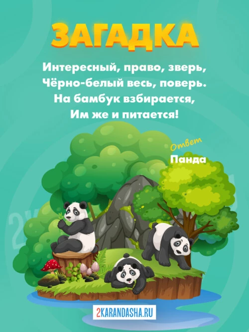 Загадки Панда