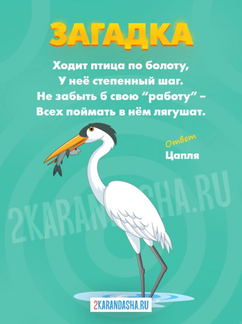 Загадки Цапля