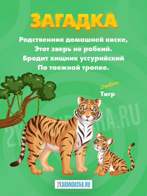 Загадки Тигр