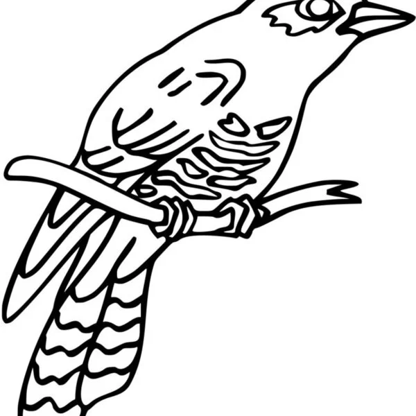 пример раскраски весенняя птица