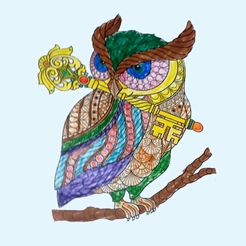 Цветной пример раскраски красивая сова с ключом