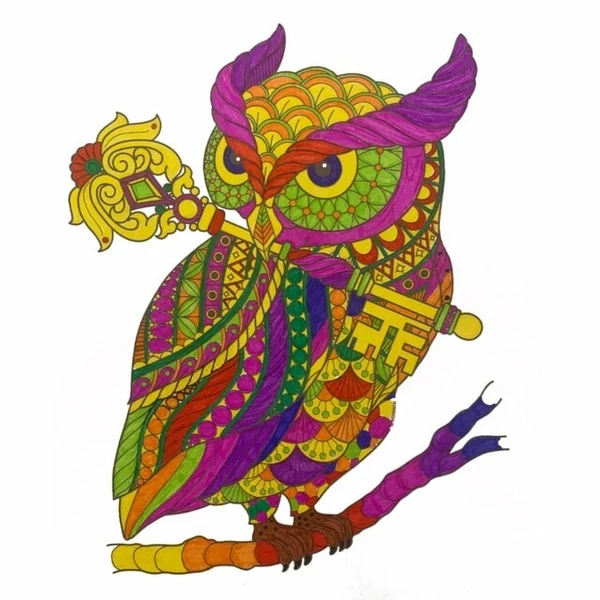 Цветной вариант раскраски красивая сова с ключом